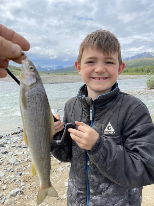 2nd Artic grayling.JPG