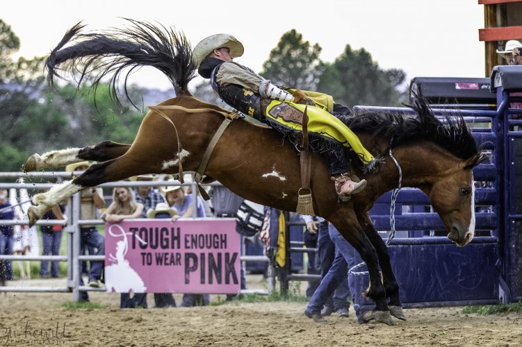 ElizabethStampede_CommunityRodeo_Saddle Bronc_Mens.jpg