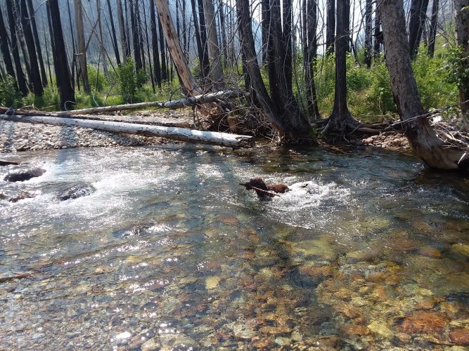 20210710_155211.jpg