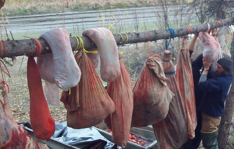 MeatPoleSept2020.JPG MeatPoleSept2020.JPG
