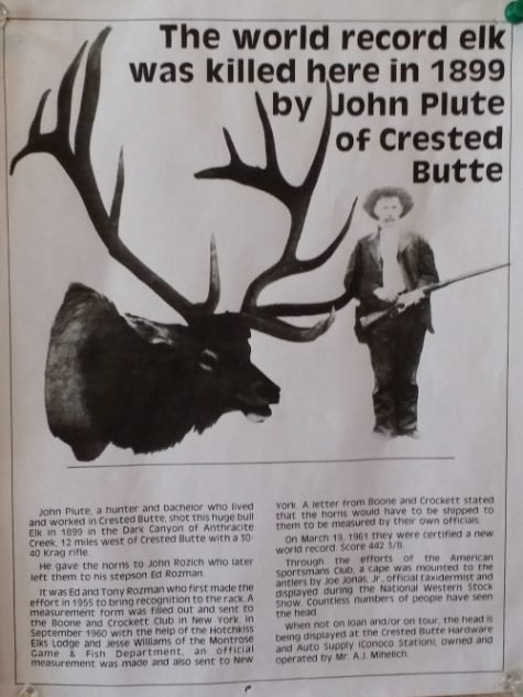 Plute elk.jpg