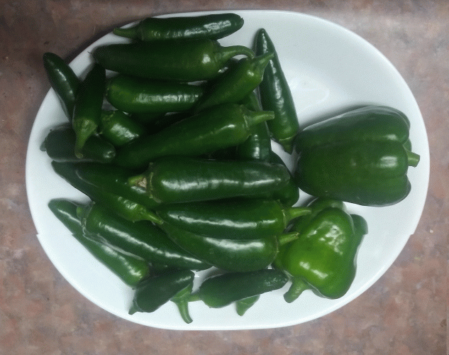 2021peppers.gif 2021peppers.gif