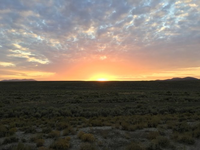 NV 2016 Pronghorn sunset.JPG