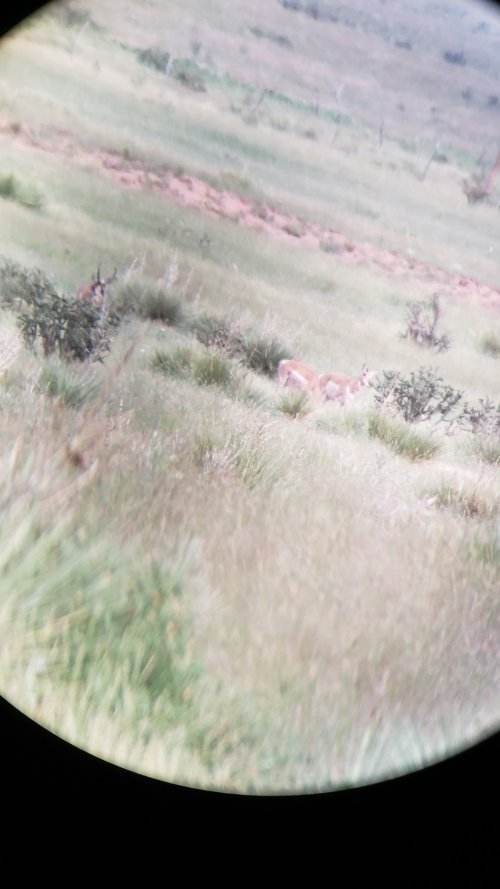 20210726_172148.jpg 20210726_172148.jpg