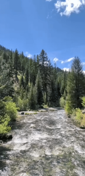 611A6E7E-FB94-4C18-9320-D6793D146E32.gif 611A6E7E-FB94-4C18-9320-D6793D146E32.gif