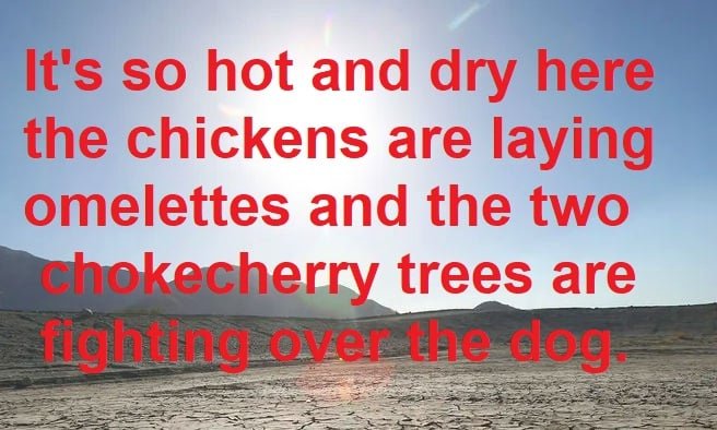 Its so hot....jpg Its so hot....jpg