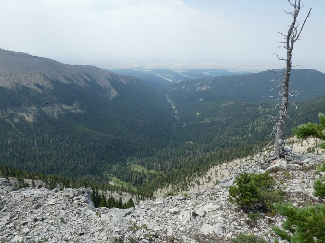 West Fork Timber Crk south slope of Snowy Mtns.JPG West Fork Timber Crk south slope of Snowy Mtns.JPG