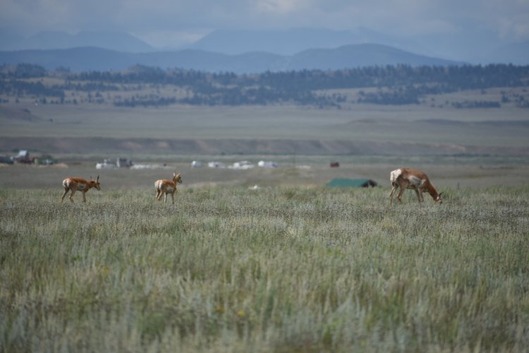DSC_0287.JPG DSC_0287.JPG