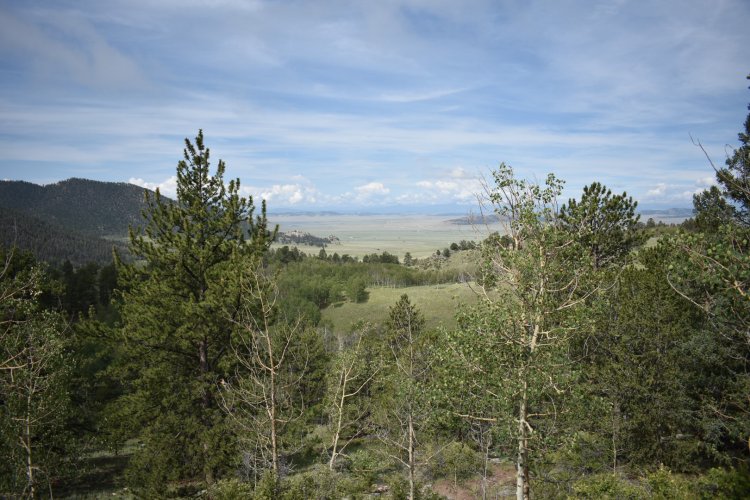 DSC_0258.JPG DSC_0258.JPG