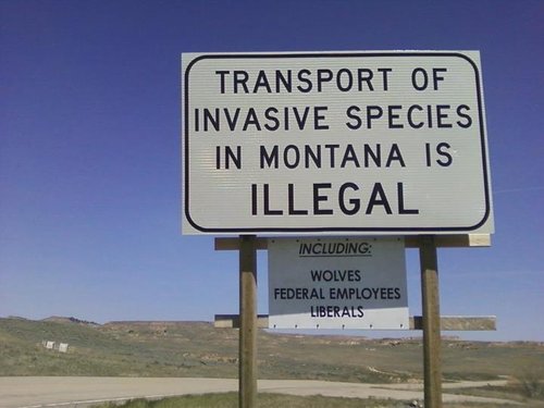 Montana Greeting.jpg