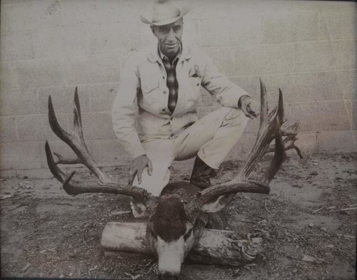 Grandpa Deer.jpg