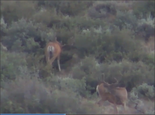 Snap 2012-07-10 at 08.42.26.png