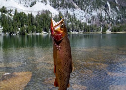 2012-07-20 001 010 (640x454).jpg 2012-07-20 001 010 (640x454).jpg