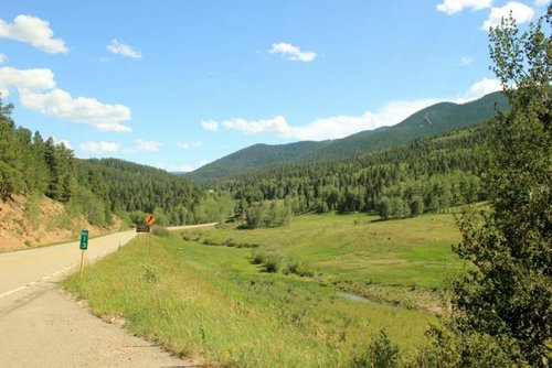 Road 165.jpg