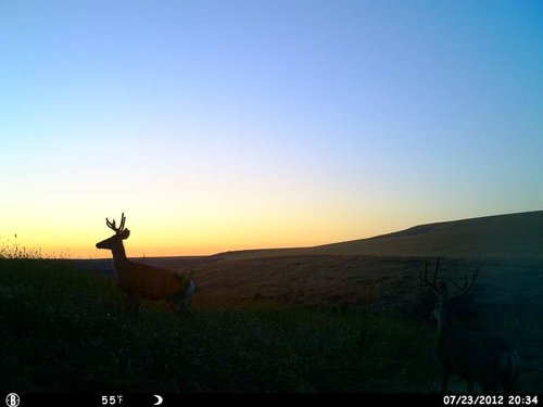 HUNT0849.jpg HUNT0849.jpg