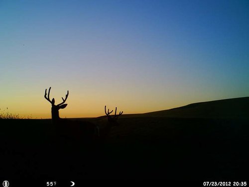 HUNT0852.jpg HUNT0852.jpg