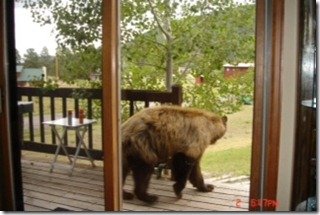 Southfork visitor.jpg