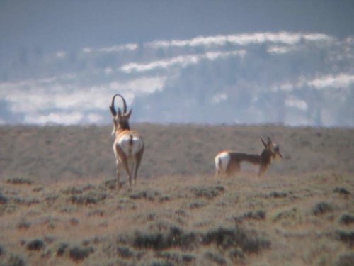 columbusday (26).jpg