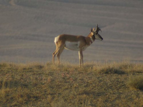 PA020130.jpg