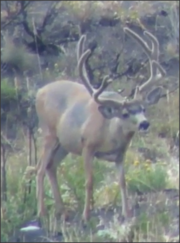 Snap 2012-08-08 at 13.31.49.png