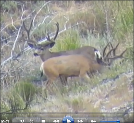 Snap 2012-08-08 at 13.35.06.png