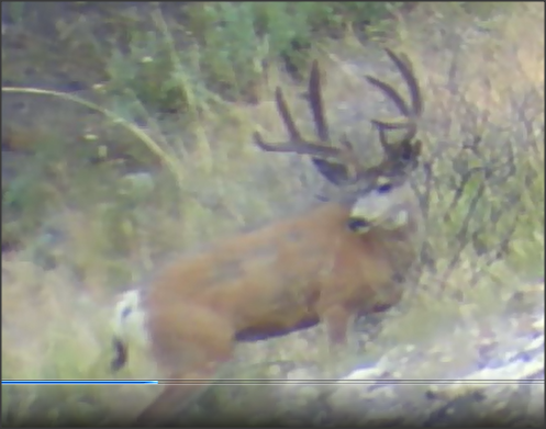 Snap 2012-08-08 at 13.32.22.png