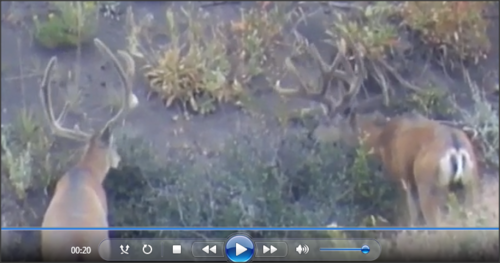 Snap 2012-08-08 at 13.38.19.png