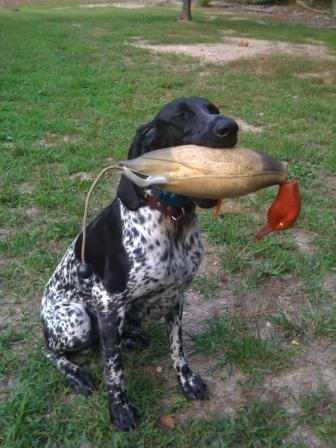 Asha Hold email.jpeg