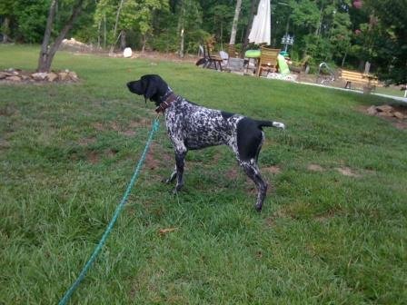 Asha pt 1 email.jpeg