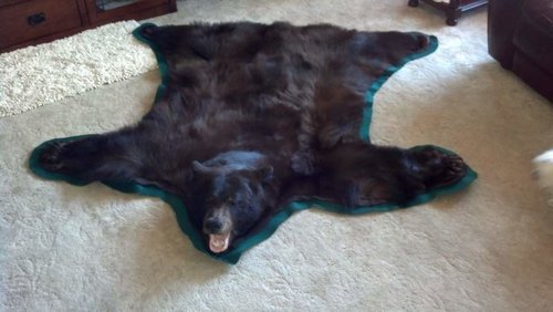 Bear Rug.jpg