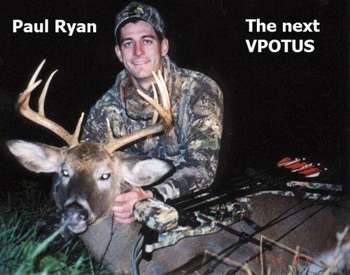 PaulRyandeer1.jpg