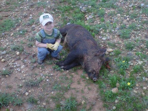 pig3-16-12.jpg