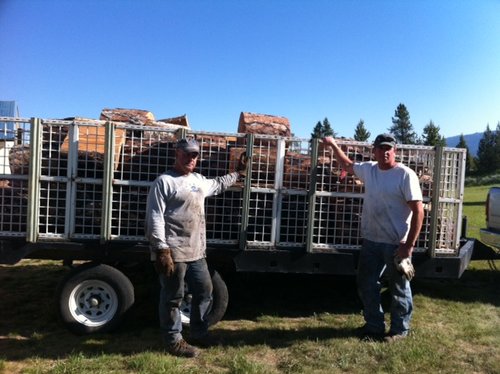 Sheep story (8).jpg Sheep story (8).jpg