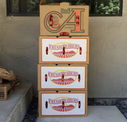 Screenshot_20210803-121132.png Screenshot_20210803-121132.png