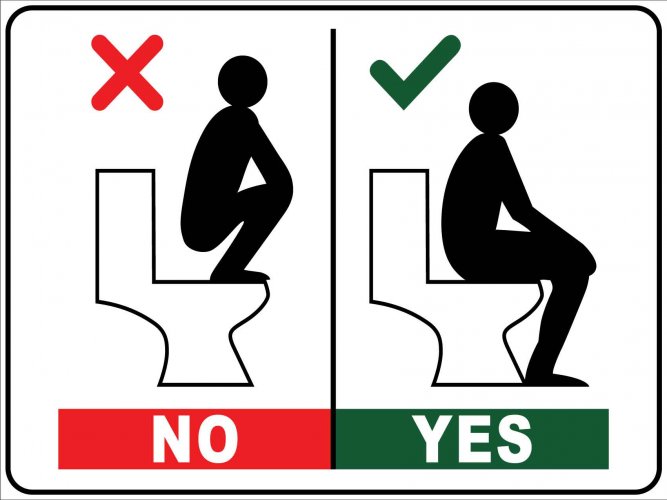 How-to-Use-The-Toilet_2000x.jpg