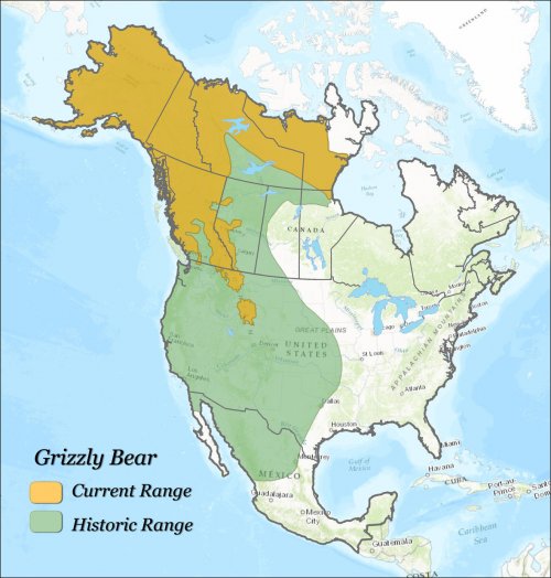 grizzly-bear-historic-range_IGBC-PD.jpg