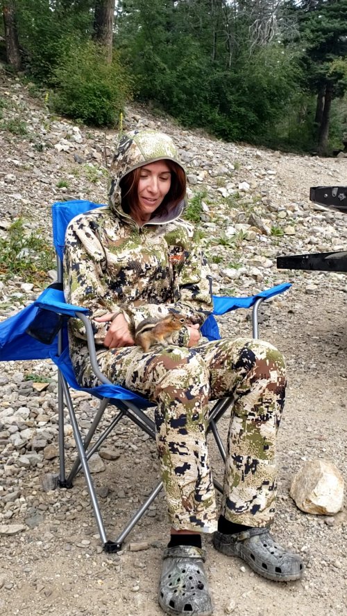 Camp Chipmunk.jpg Camp Chipmunk.jpg