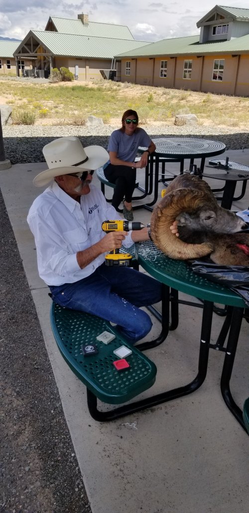 DocRSealing.jpg