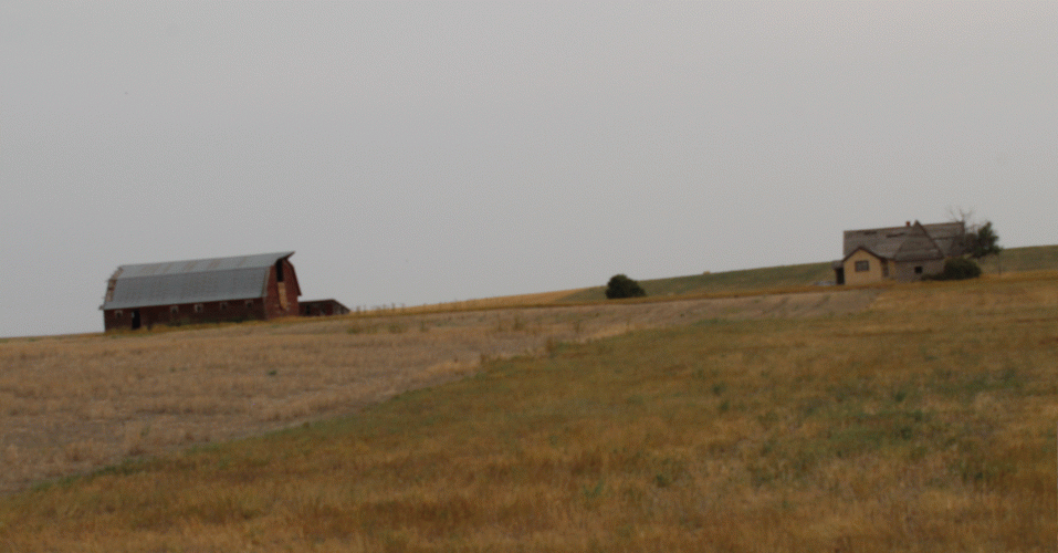 20210815AbandonedFarm1.gif