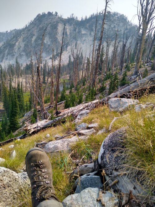 IMG_20210816_110910561_HDR.jpg IMG_20210816_110910561_HDR.jpg