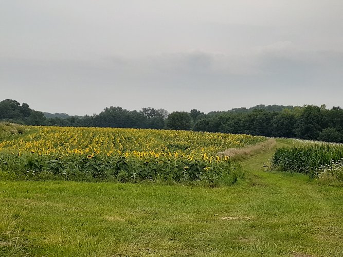 20210724_090229.jpg 20210724_090229.jpg