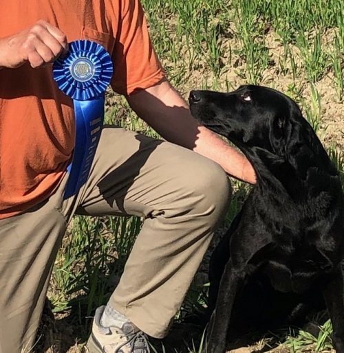 Scout_Q_2021.jpeg Scout_Q_2021.jpeg