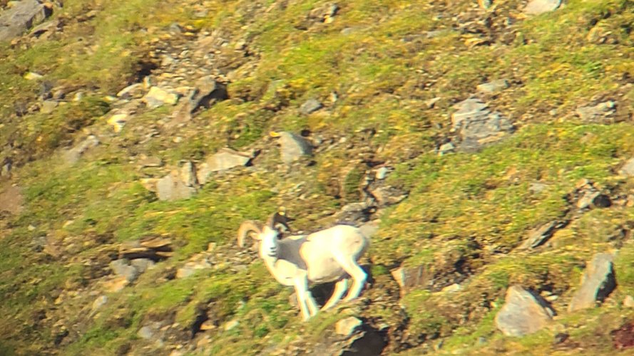 20210810_072526.jpg 20210810_072526.jpg