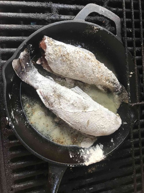 brookies in a pan.jpg