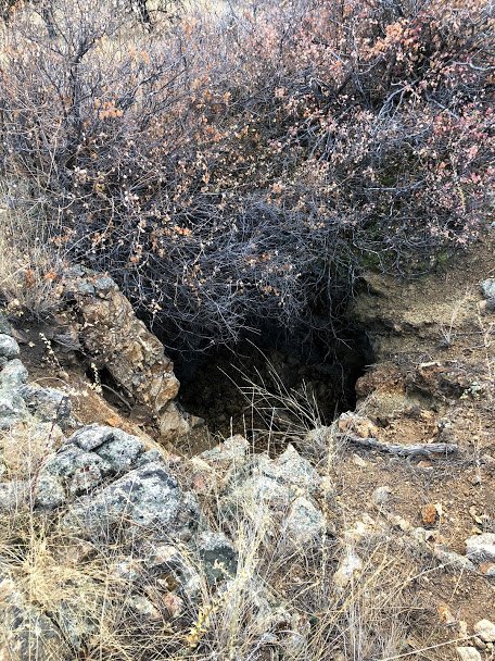 MineShaft.JPG MineShaft.JPG