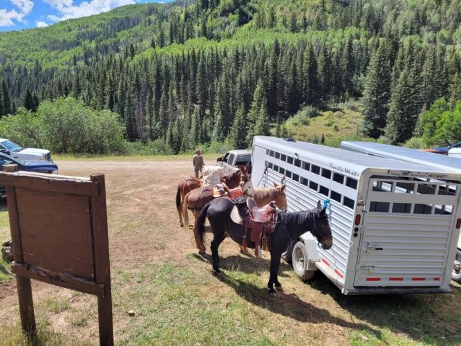 Resized952021082795120500 (1).jpg