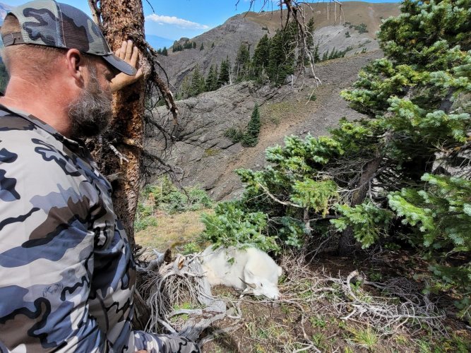 Resized_20210828_121019 (1).jpg