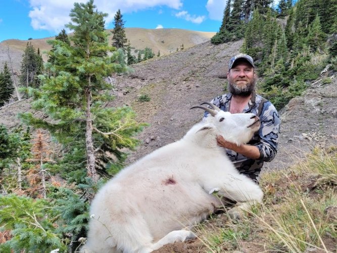 MtnGoat.jpg MtnGoat.jpg