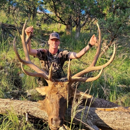 ian elk.jpg ian elk.jpg