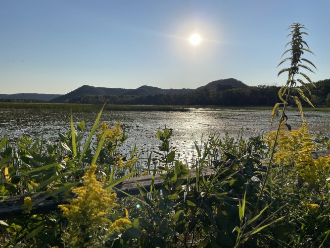 D65994C9-94AC-4EF0-8A5E-FC87108AD248.jpeg D65994C9-94AC-4EF0-8A5E-FC87108AD248.jpeg